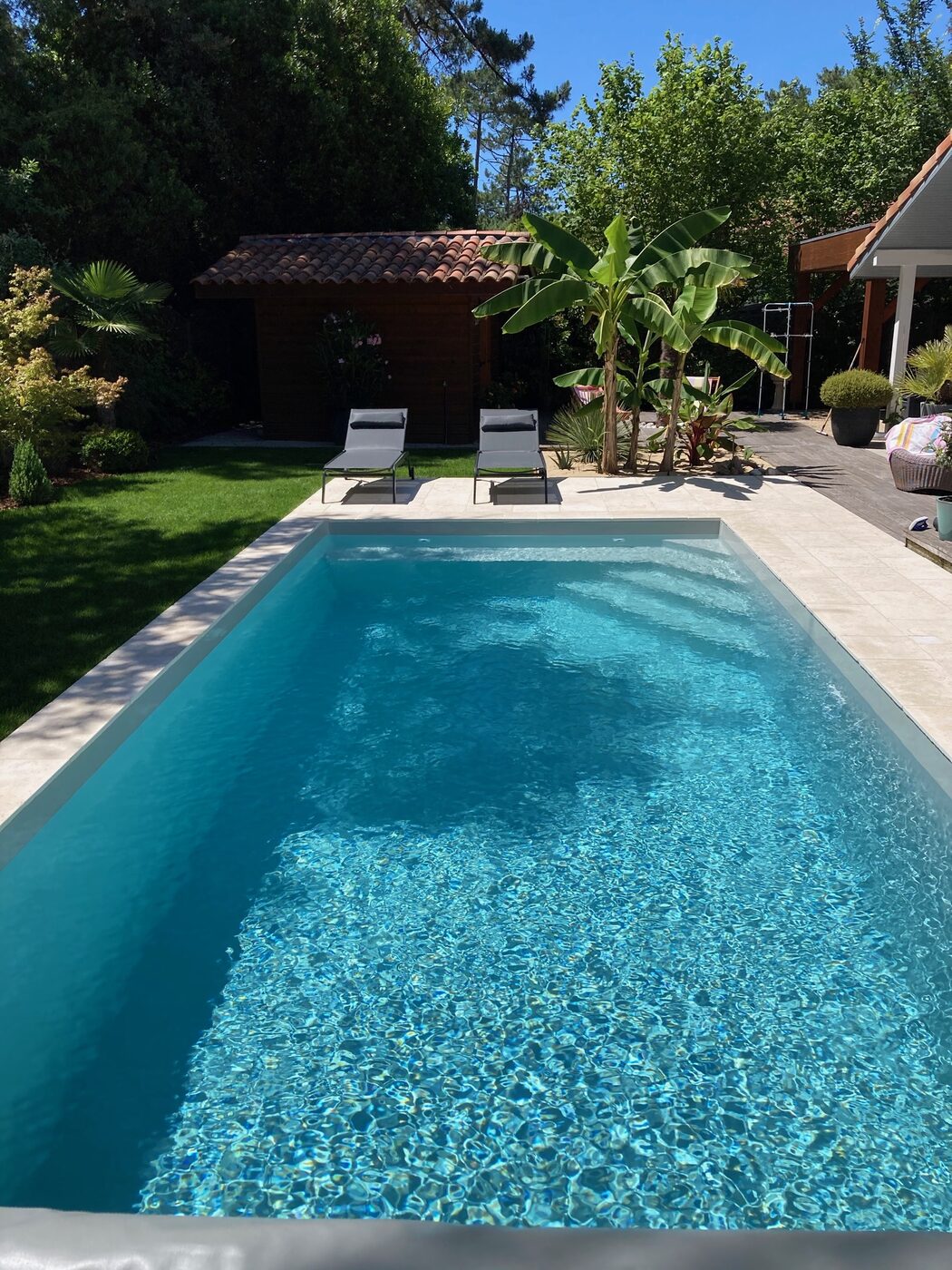 Piscine en béton armé implantée dans un jardin arboré